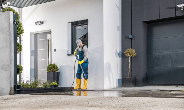 Best Paint Preparation  in Patterson, CA